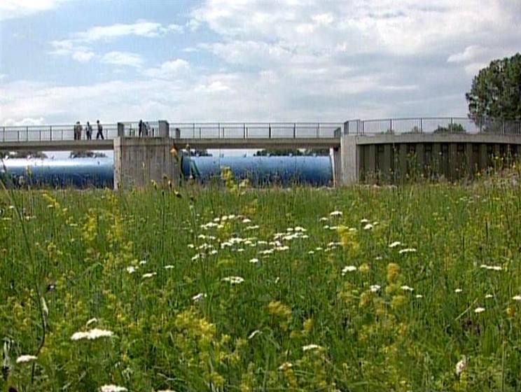 Kollerinsel Rheinhochwasser Damm